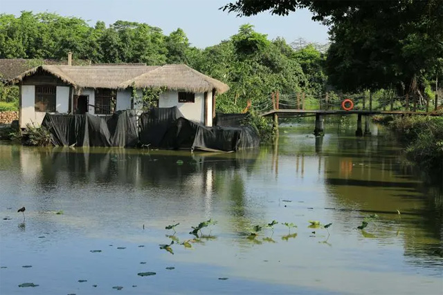 Shenzhen Seaside Pastoral